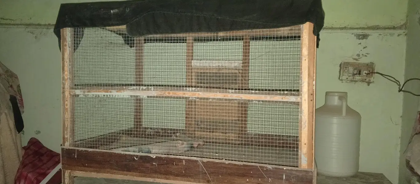 hane and Perot cage