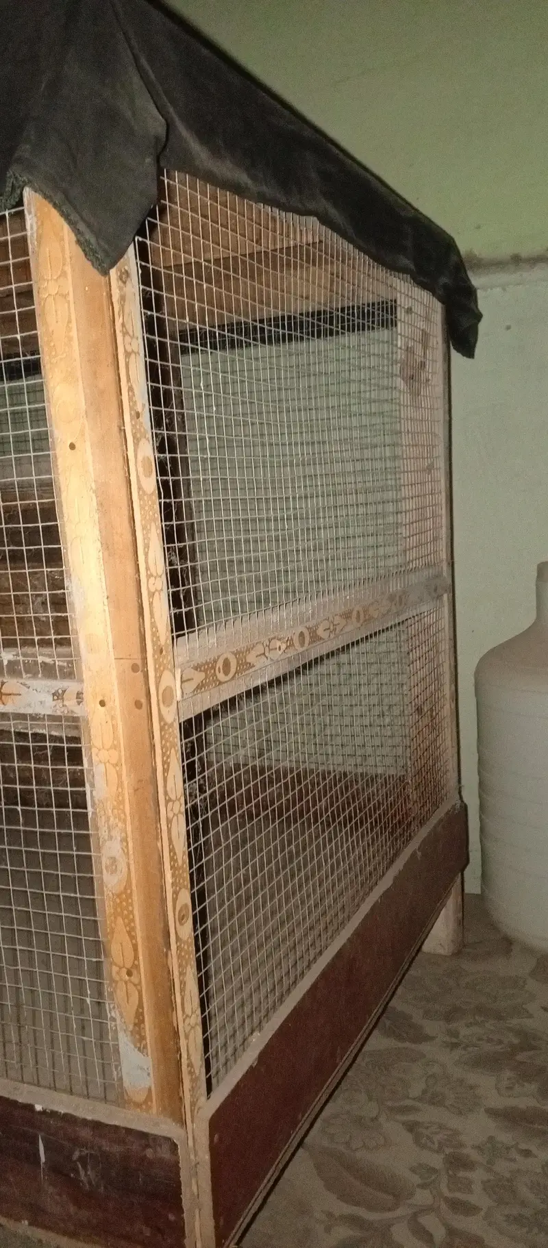 hane and Perot cage — photo 3