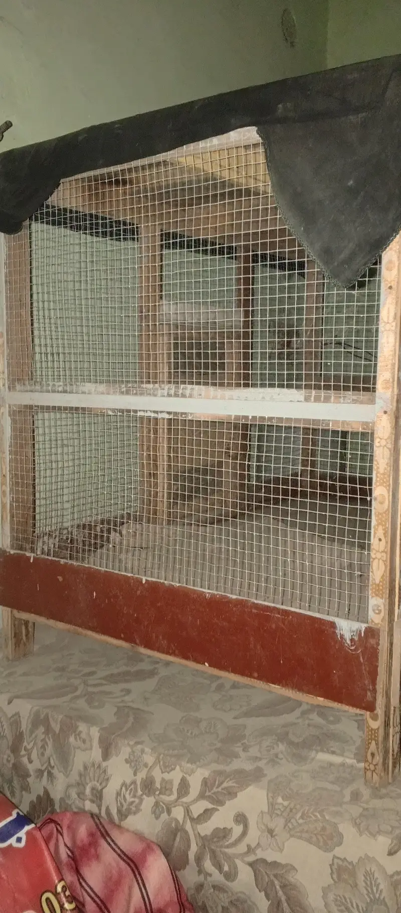 hane and Perot cage — photo 4