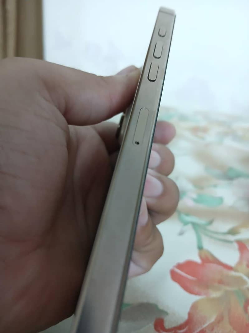 Apple iPhone 16 Pro Max 4
