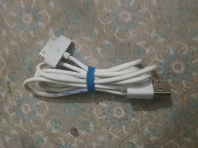 APPLE 30 - PIN CABLE