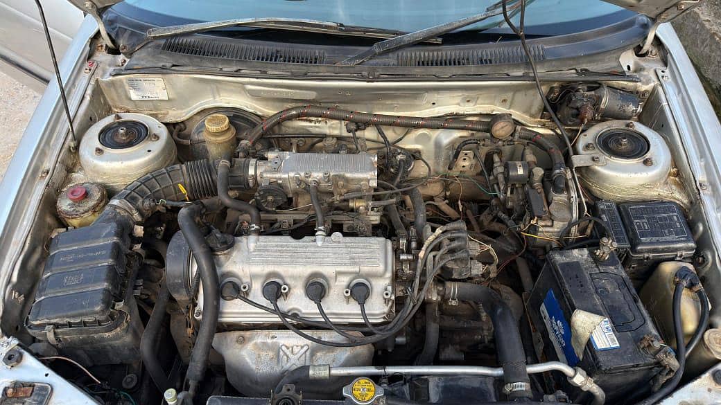 baleno 1