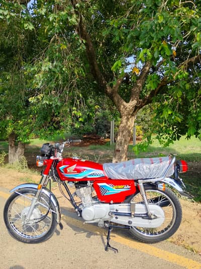 Honda 125 2024 model for sale