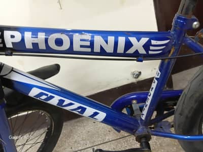 Bicycle for sale
