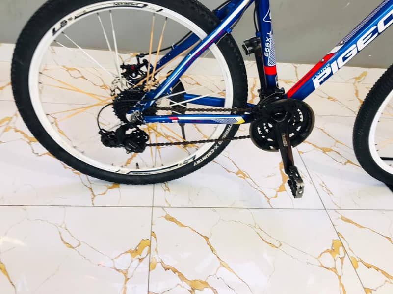 bycycle 2