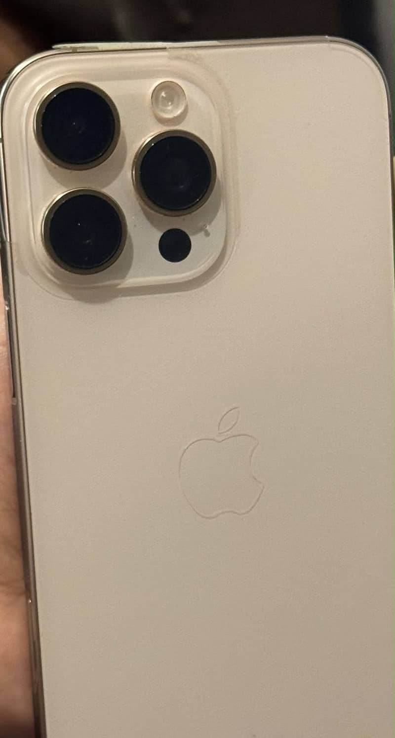 Apple iPhone 16 Pro Max 2