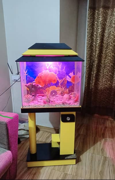 fish aquarium with table