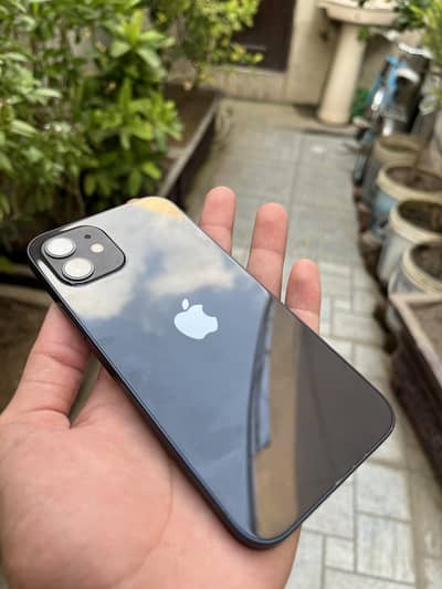 Apple iPhone 12