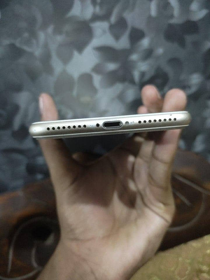 Apple iPhone 7 Plus 1