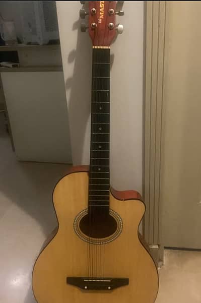 6 string beginner guitar