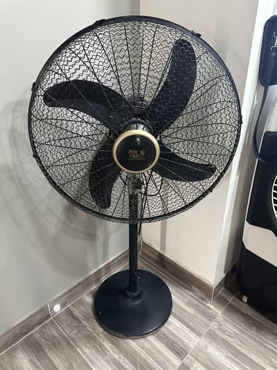 Pak Fans Pedestal Fan