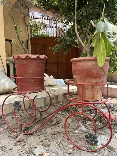 Cycle plant
