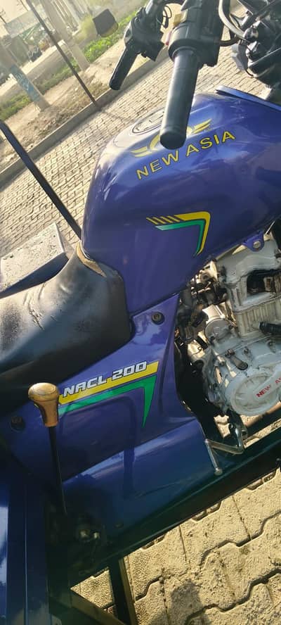 New Asia 200 CC Load Rickshaw