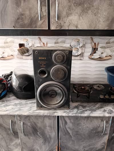 one speaker