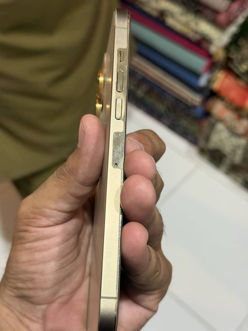 Apple iPhone 13 Pro Max 1