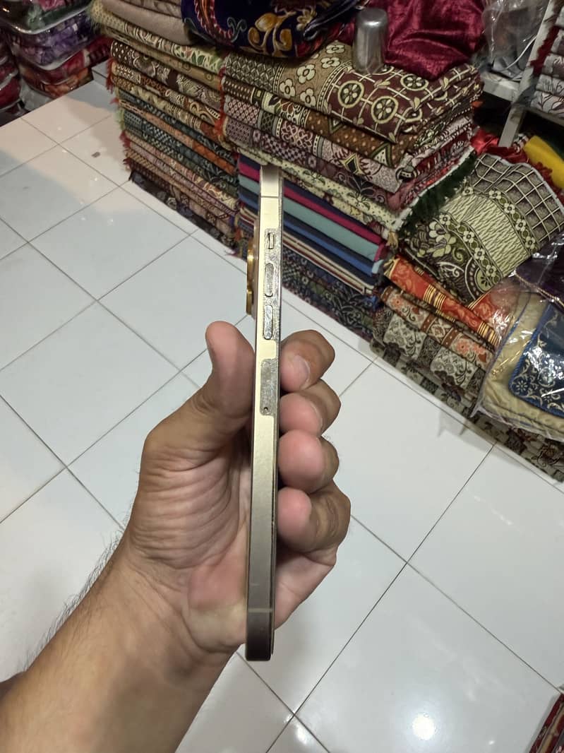 Apple iPhone 13 Pro Max 2