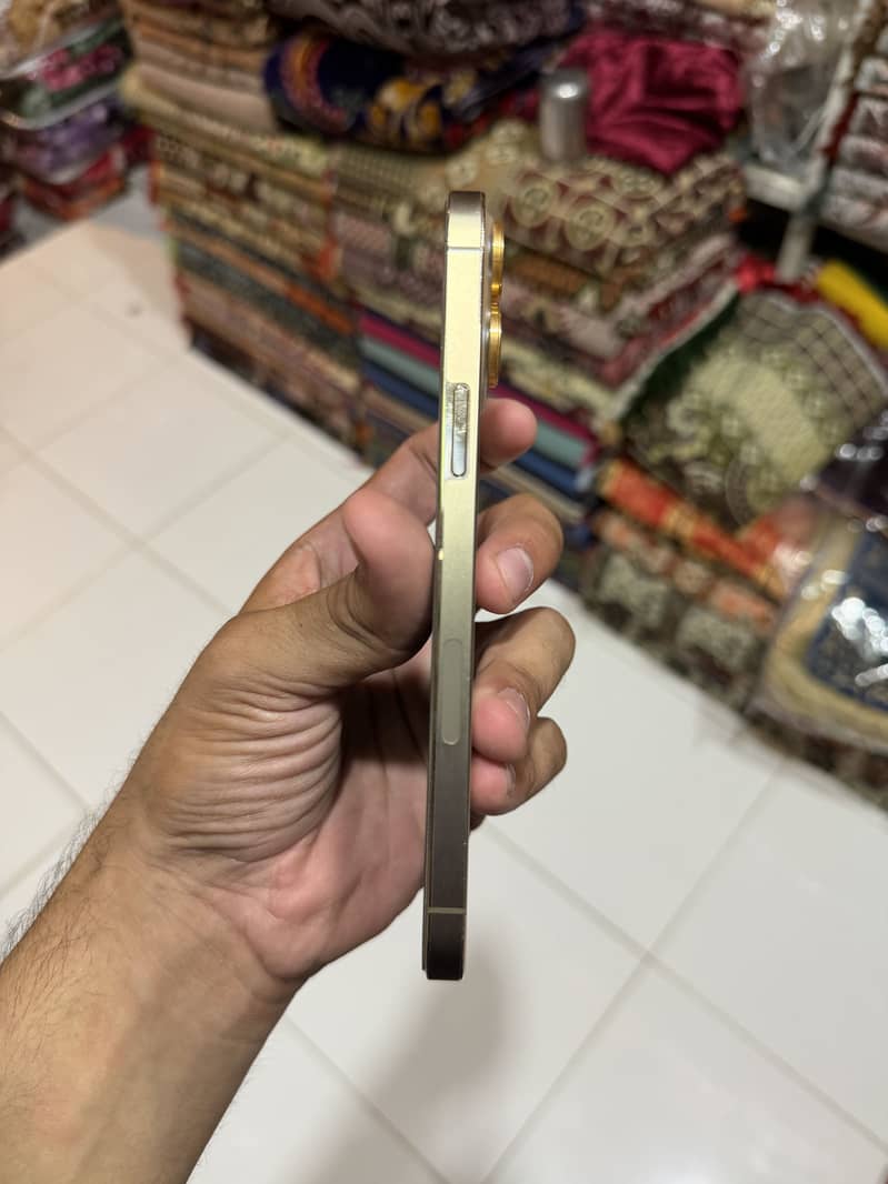 Apple iPhone 13 Pro Max 3