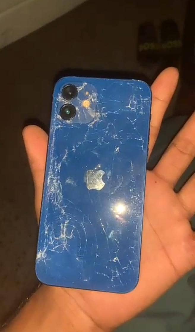 Apple iPhone 12 0