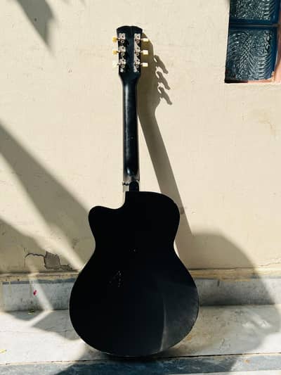 begginer guitar