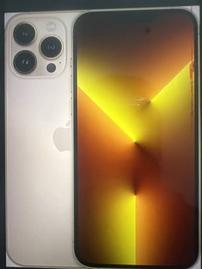 Apple iPhone 13 Pro Max