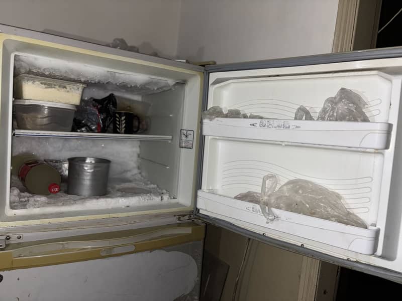 Refrigerator 1