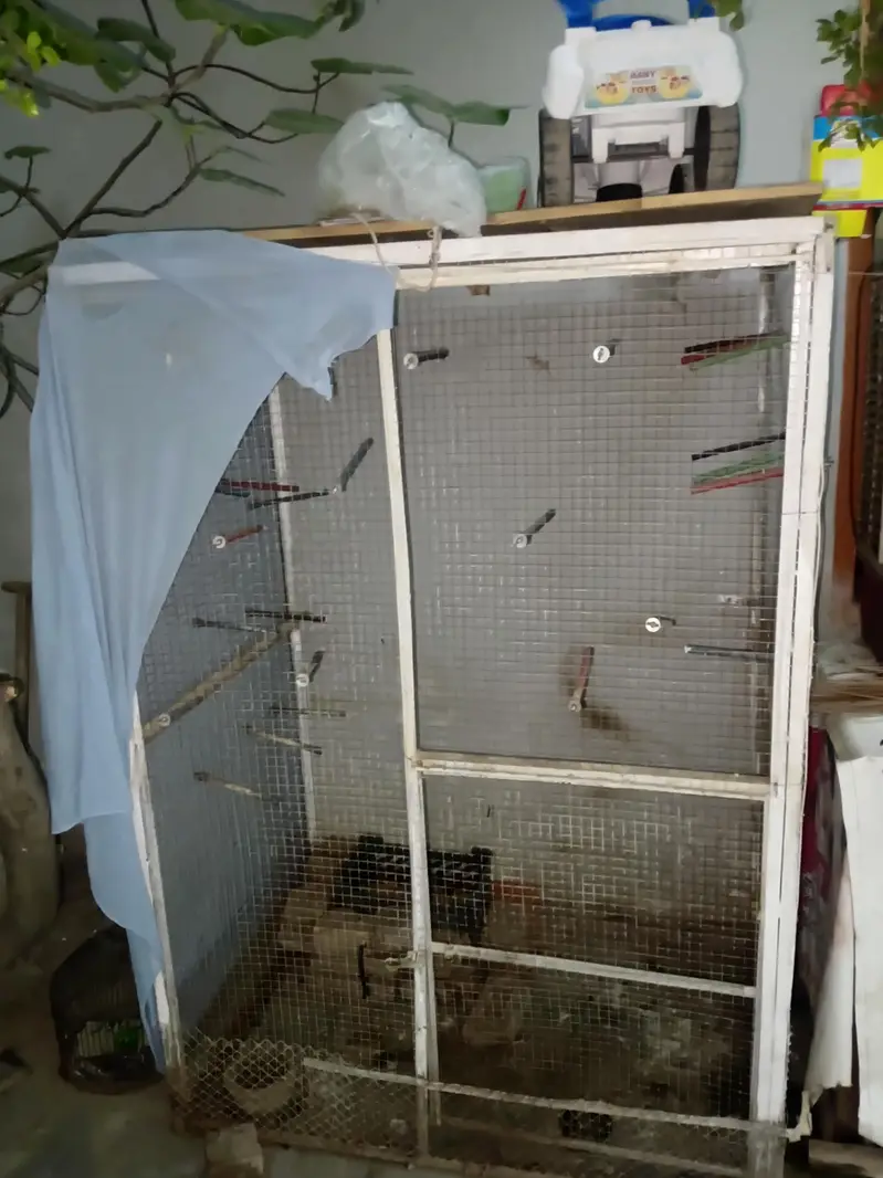 cages