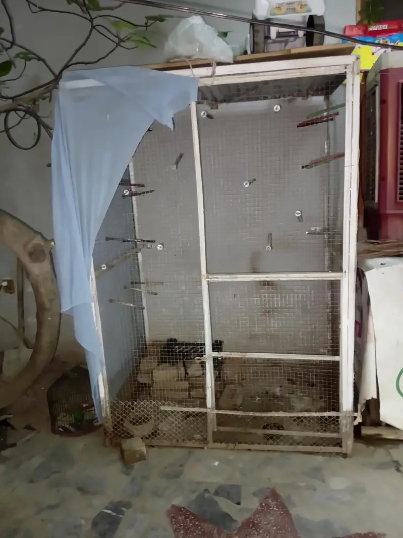 cages — photo 2