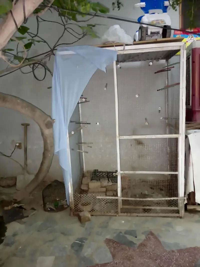 cages — photo 3