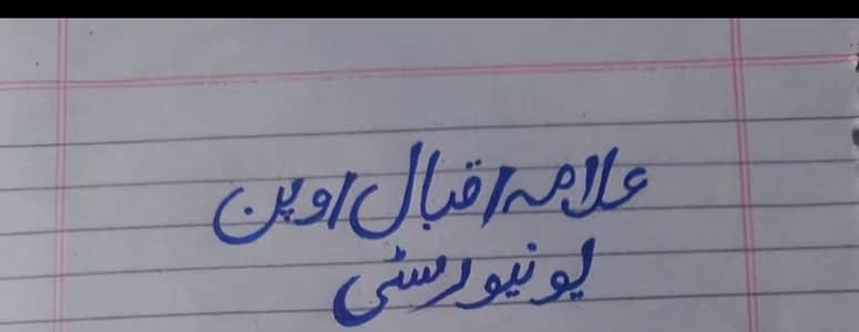 Assignment writing