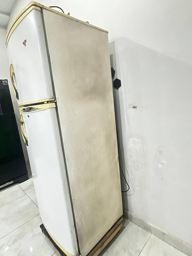 Waves Fridge 5
