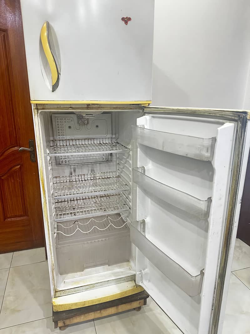 Waves Fridge 1