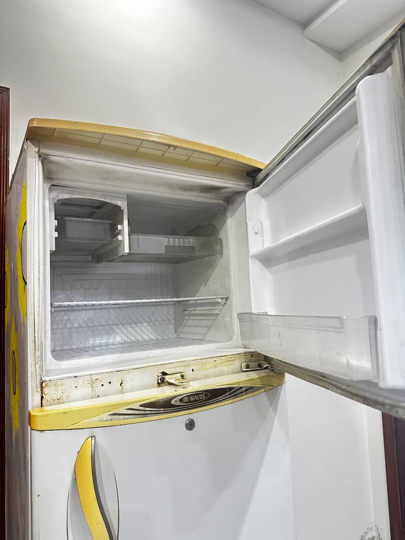 Waves Fridge 3