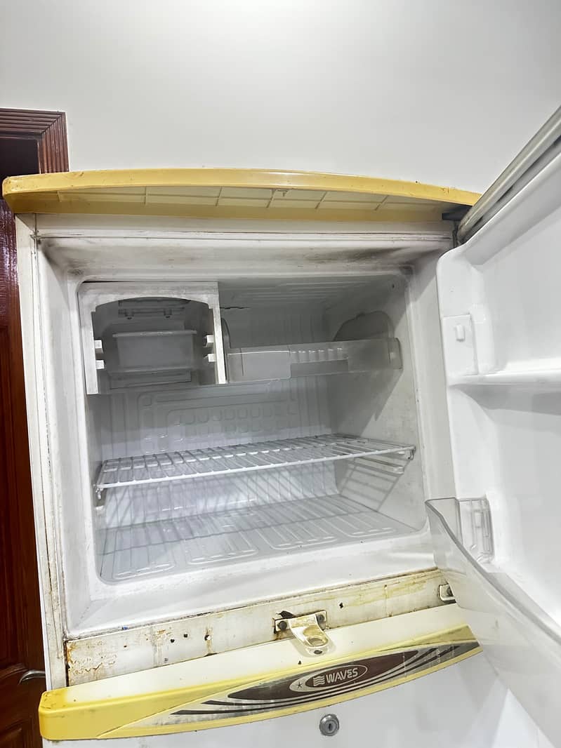 Waves Fridge 4