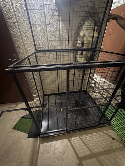 Brand New Unused 16-Gauge Iron Profile Animal Cage – 4 × 3 × 3.5 ft