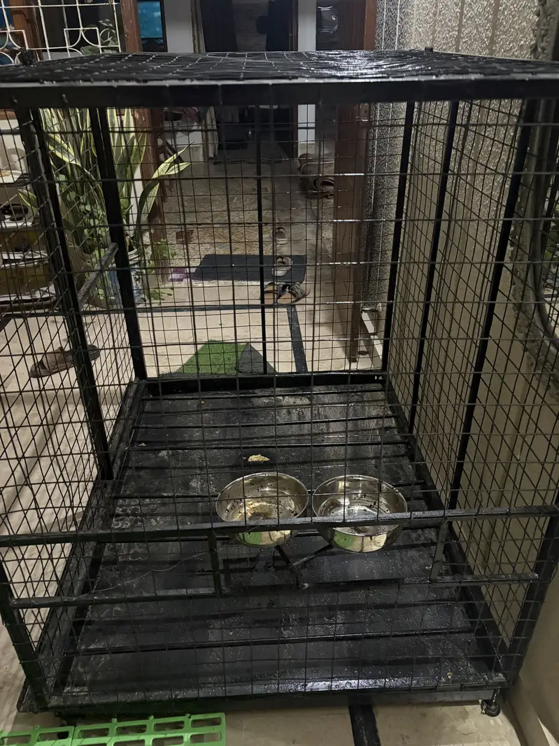 Brand New Unused 16-Gauge Iron Profile Animal Cage – 4 × 3 × 3.5 ft — photo 4