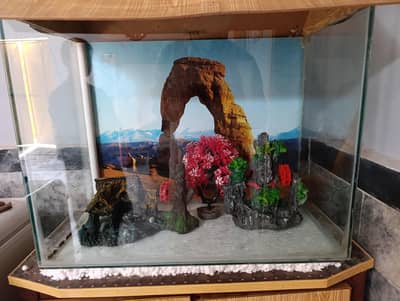 Fish Aquarium size. 1 x 2 ft