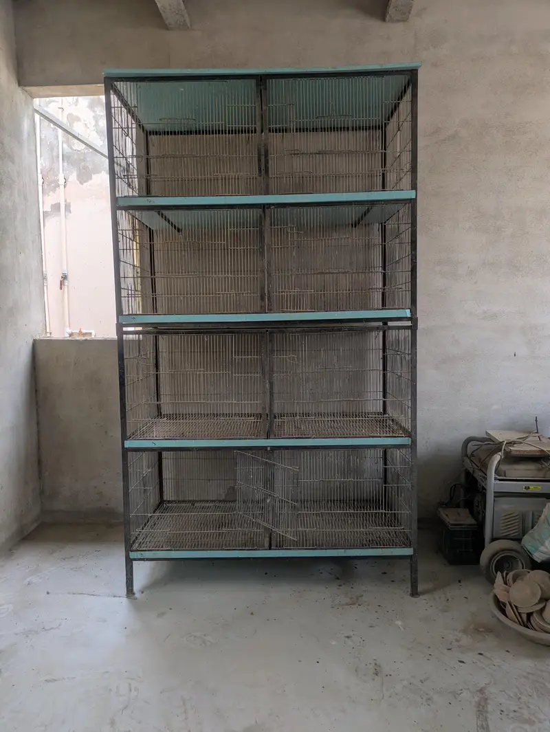 Heavy Duty Iron Bird Cage / Setup - 8 Portion (Large Size) — photo 2