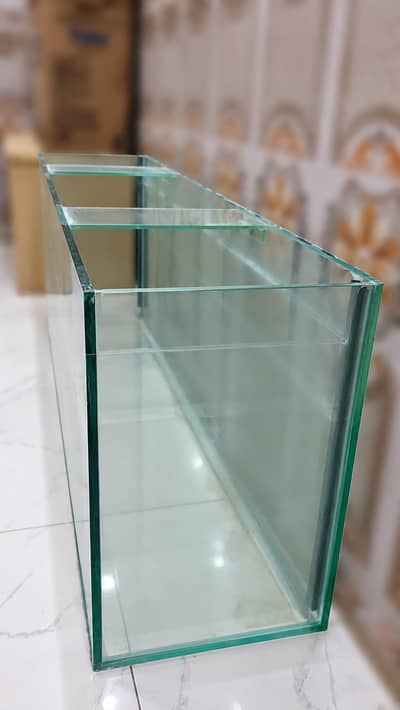 Fish Aquarium