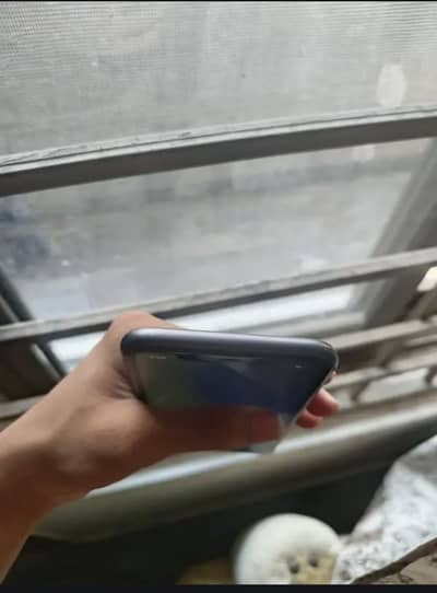 Apple iPhone 11 64gb Non pta Face ID True Tone All Ok Hai