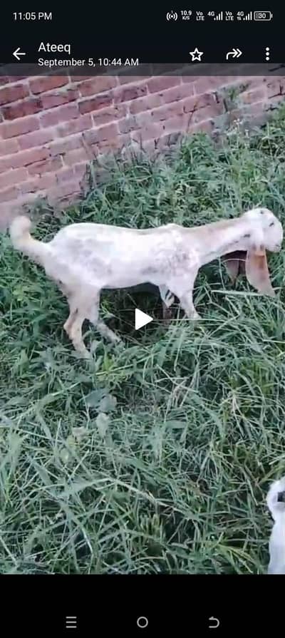 urgent sale all setup bilkul low price ma jaldi rabta Karen