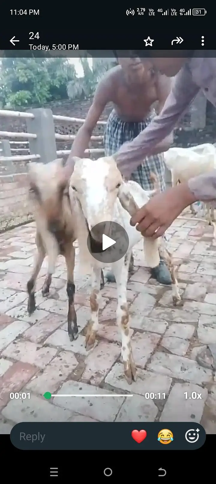 urgent sale all setup bilkul low price ma jaldi rabta Karen — photo 3