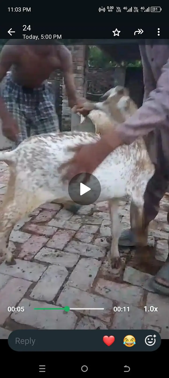 urgent sale all setup bilkul low price ma jaldi rabta Karen — photo 5