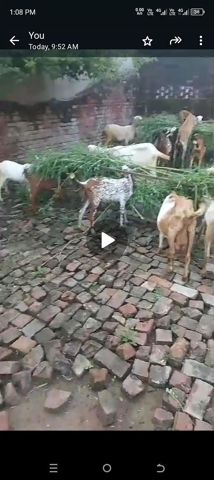 urgent sale all setup bilkul low price ma jaldi rabta Karen — photo 6