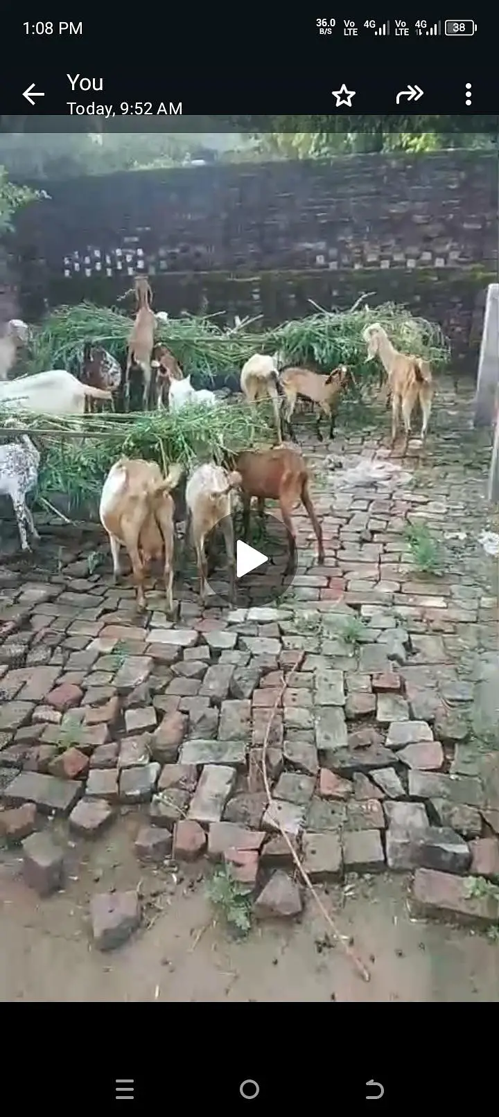 urgent sale all setup bilkul low price ma jaldi rabta Karen — photo 7