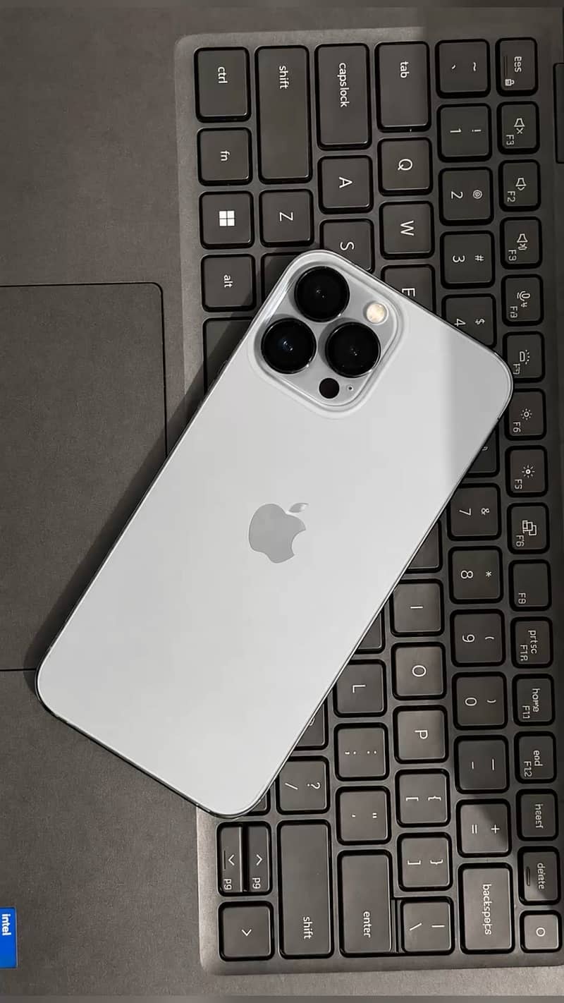 Apple iPhone 13 Pro Max 1