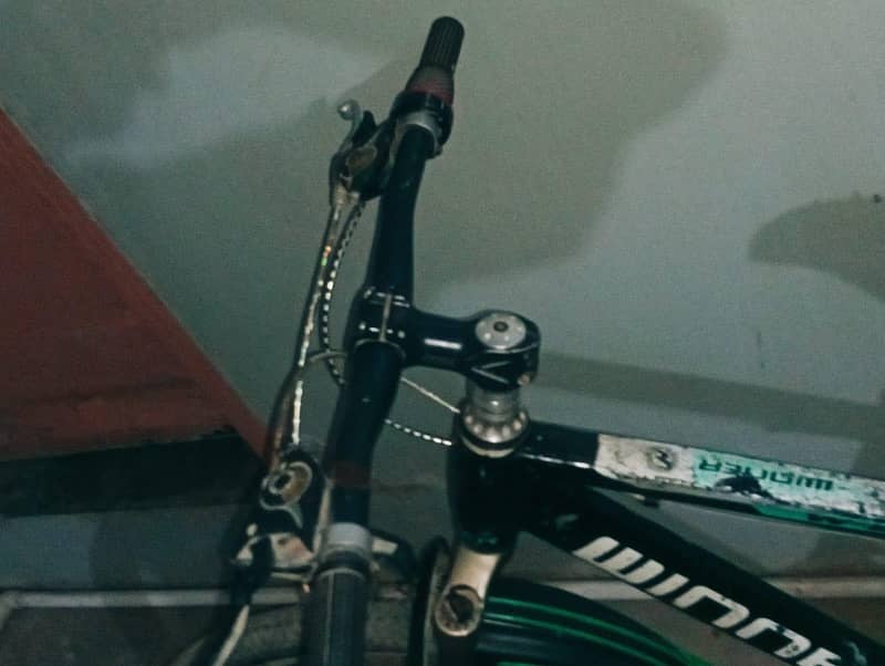 bicycle 2