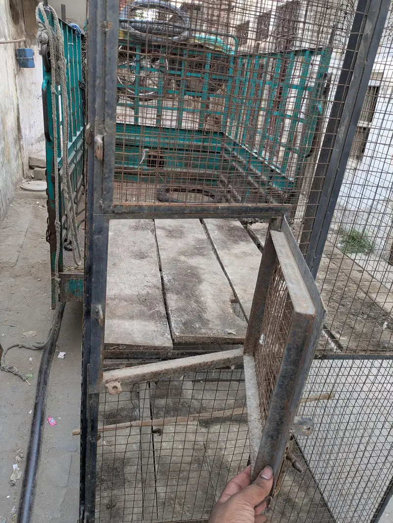 Heavy Metal Cage Urgent — photo 2
