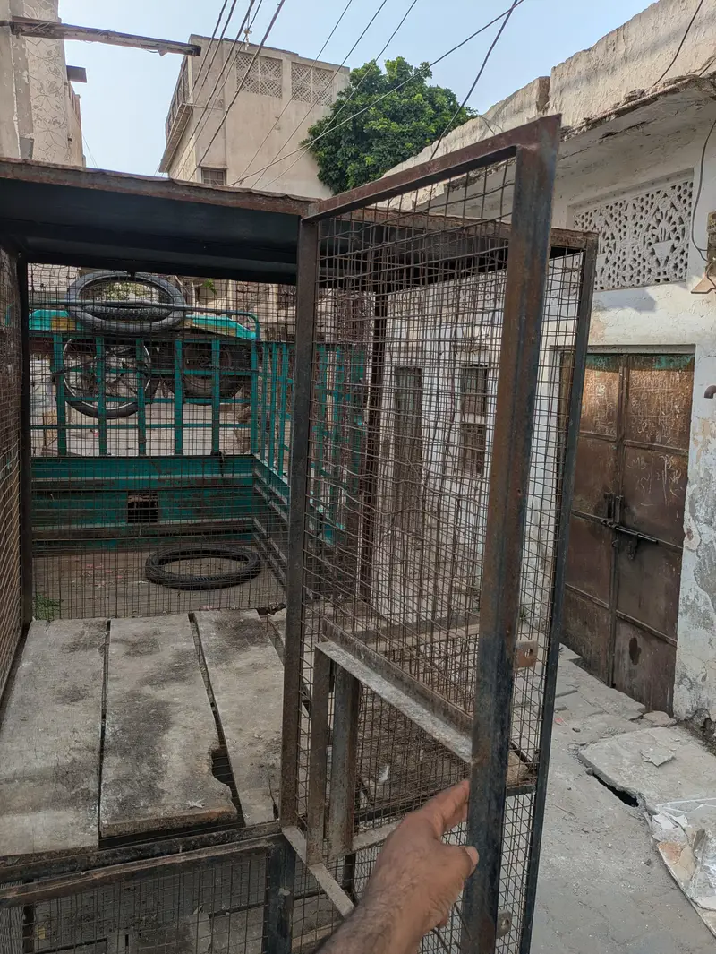 Heavy Metal Cage Urgent — photo 3
