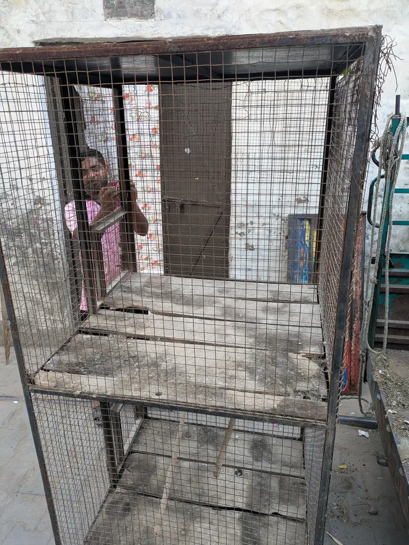 Heavy Metal Cage Urgent — photo 4