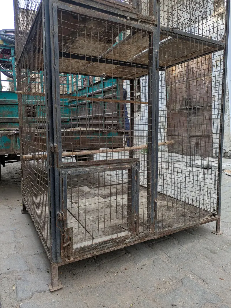 Heavy Metal Cage Urgent — photo 6
